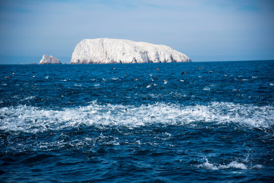 Roca Blanca