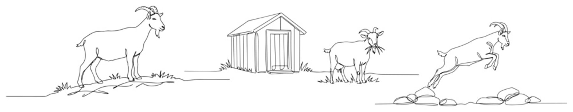 Domestic goats on farm set monoline illustration, minimalist livestock and rural ranch life single line art graphic collection
