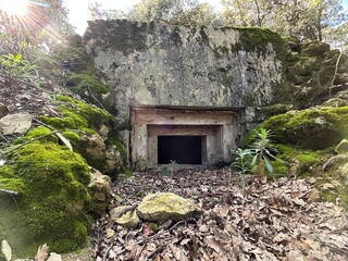 Bunker de hormigón camuflado entre rocas y vegetación © Alex Manzanares