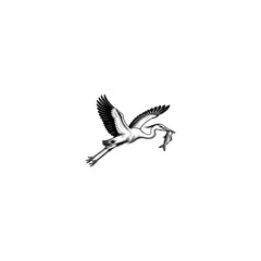 Fototapeta premium Vintage heron bird flying with fish in beak, hand drawn crane vector illustration, black and white stork hunting graphic for logo design