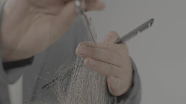 Close up of a professional hairstylist using scissors and a comb to trim and style hair in a modern beauty salon, showcasing precise techniques on different hair types.

