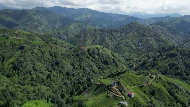 A drone view of one of the villages in Rize, Turkey's greenest city.