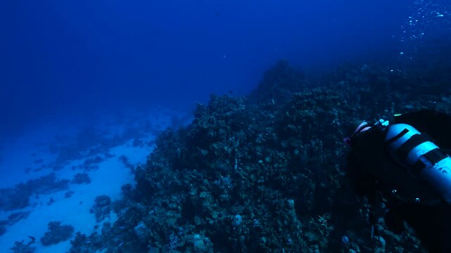 scuba diving in egypt
