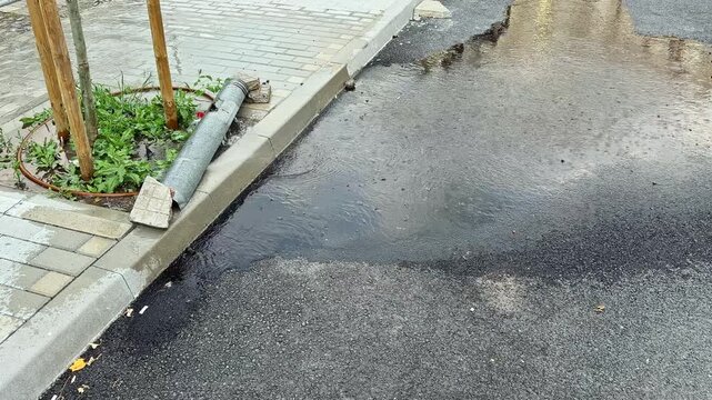 Rain causes water to gather in puddles on the street near a drain. The area shows wet pavement and greenery along the sidewalk.