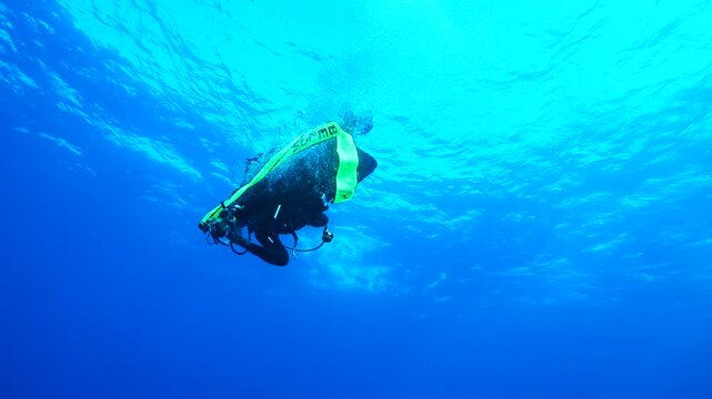 scuba diver