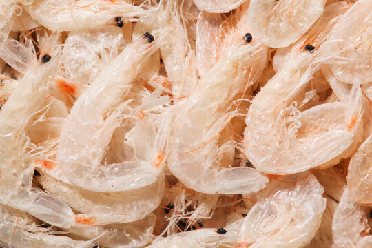Beihai Dried Shrimp High Quality Unsalted Sea Food Ingredient Light Flavor Asian Cuisine Cooking