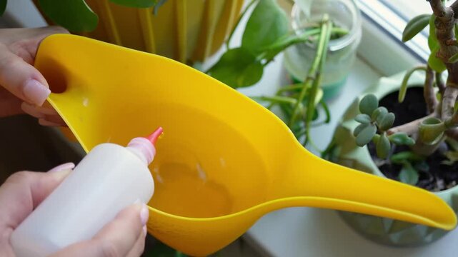 Top view of hands holding a bottle of hydrogen peroxide,dripping liquid into a watering can