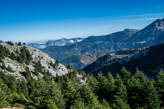 Mount Dirfis Mountain Range and Fir Forest Landscape in Evia, Greece