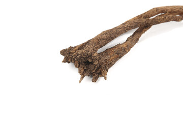 Fototapeta premium Dried Scutellaria Baicalensis Root - Traditional Chinese Herb with Health Benefits on White Background