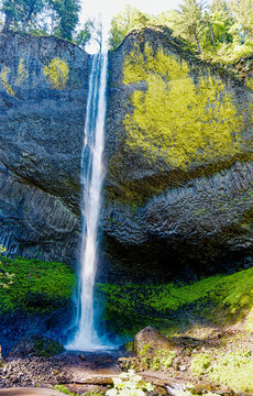 Latourell Falls Viewed Through Spring Forest in the Columbia River Gorge National Scenic Area