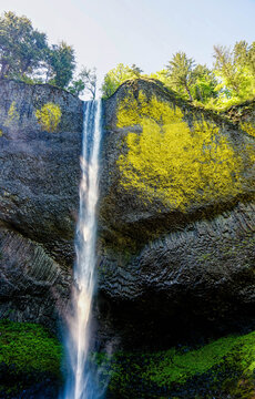 Latourell Falls Viewed Through Spring Forest in the Columbia River Gorge National Scenic Area