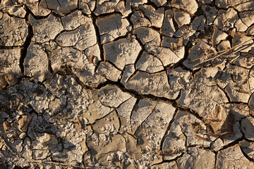 Cracked dry soil caused by El Niño climate phenomenon. Drought, water scarcity, extreme weather impact on land. Climate change, desertification, environmental crisis, ecosystem stress global warming