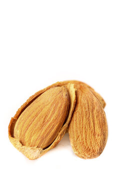 Dried Batana Nuts Peeled Healthy Snacking Fruits Original Texture Natural Food
