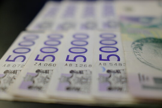 Close-up of 5000 Serbian dinar banknotes. Detailed view of Serbian 5000 dinar banknotes. Five thousand bill serbian money