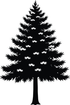 Black silhouette of pine tree with snow highlights showing evergreen forest design for winter and holiday artwork