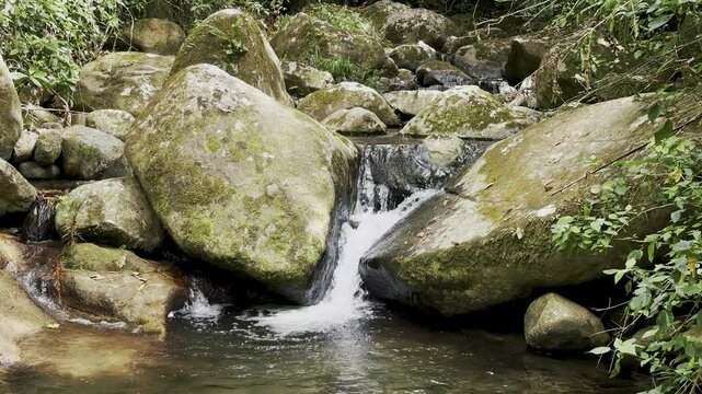 A small forest waterfall flows between large mossy boulders into a shallow rocky creek pool. Dark water, white foam, leafy plants, wet stone textures, and earthy green tones create a natural stream se