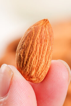 Single Almond Close-up on Fingertips