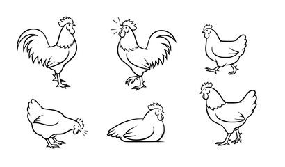 Obraz premium Minimal Rooster Silhouette Collection Vector Set Featuring Chicken and Cock Farm Animal Pose Bundle Isolated on White Background