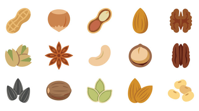 Healthy assorted nuts and seeds collection flat icons.