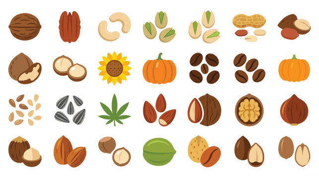 Healthy nuts and seeds collection with various kernels.
