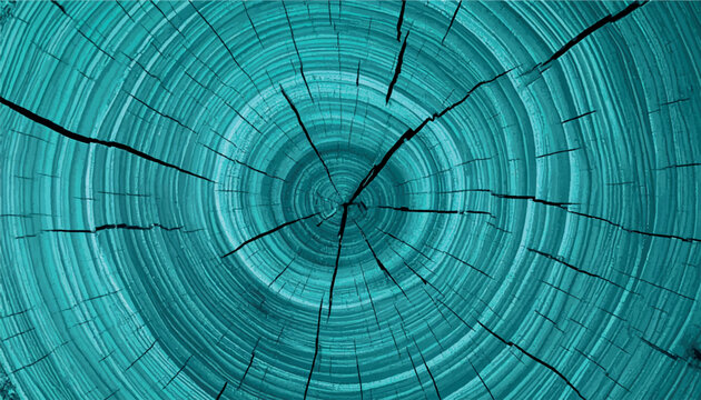 Turquoise wood cross section texture background vector. Realistic teal tree stump rings pattern, concentric circle log trunk timber crack texture wallpaper. Perfect for rustic organic backdrop. EPS
