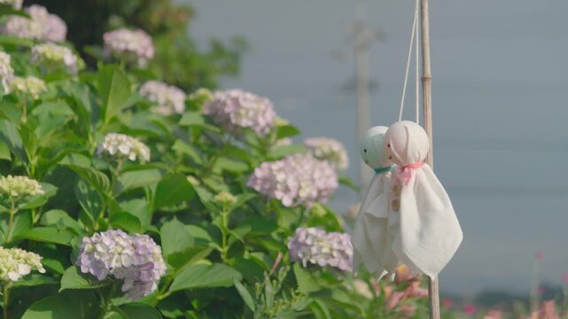 紫陽花とてるてる坊主