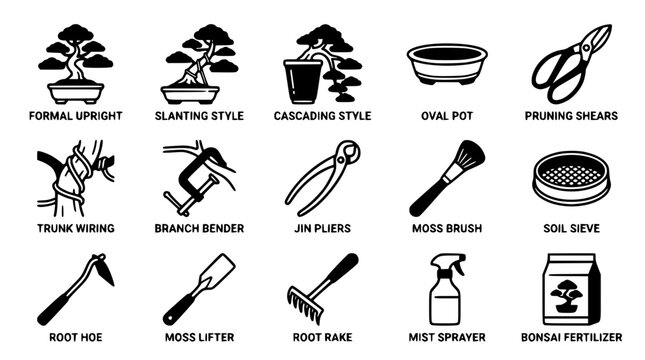 Bonsai tree care tools and styling techniques illustration set