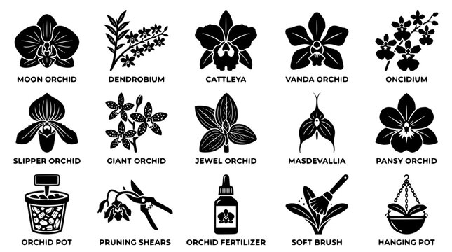 Black and white vector graphic illustration of various orchid designs