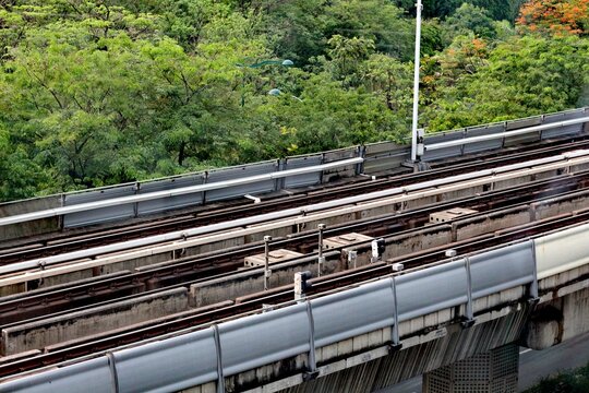 Elevated train tracks winding through lush green trees and foliage