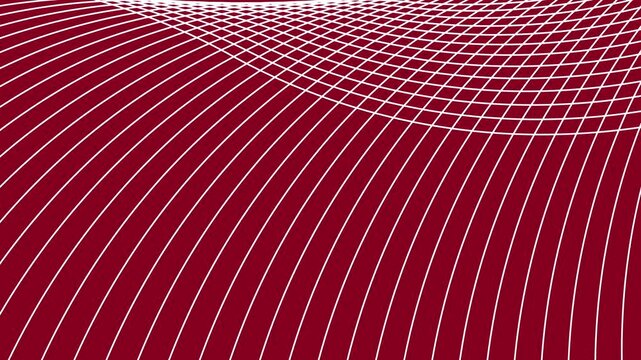 Abstract white curved lines intersecting on dark red background creating smooth dynamic motion video animation