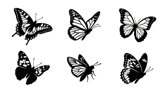 Detailed black butterfly silhouettes with ornate wing patterns