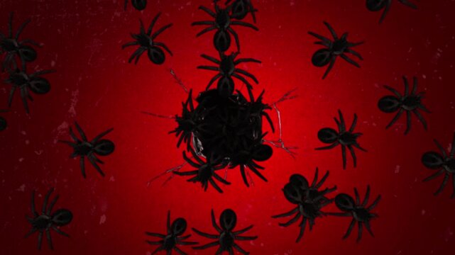  Spooky spiders crawling around a dark hole on a textured red background, Halloween horror animation