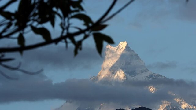 Close up shot of Machhapuchhre Fishtail Peak at Sunset Framed by Tree Branches in Ghandruk, Nepal
