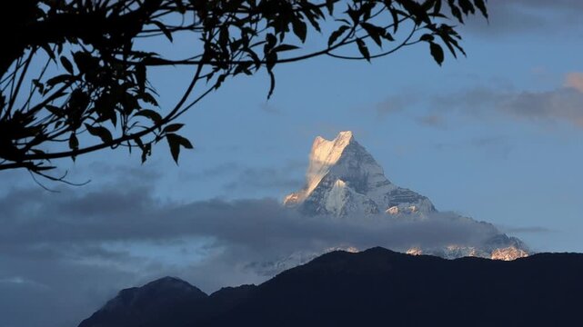 Machhapuchhre Fishtail Peak at Sunset Framed by Tree Branches in Ghandruk, Nepal