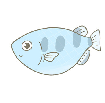 R:もっとメルヘンな水族館☆熱帯魚　テッポウウオ①