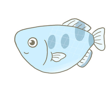 R:もっとメルヘンな水族館☆熱帯魚　テッポウウオ④