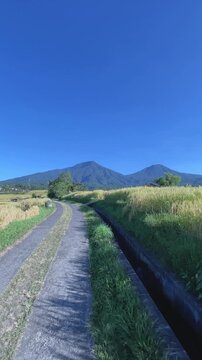 Vertical FPV Walking Shot on Rural Road Heading to Beautiful Mountains in Bali
