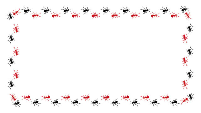 Decorative frame design featuring a repeating pattern of small black and red ants arranged in a rectangular shape on transparent background