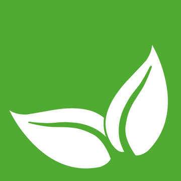 HOJAS VERDES NATURALEZA SALUD BIENESTAR NATURA BOSQUE PLANTAS SIGNOS SIMBOLOS &Iacute;CONO