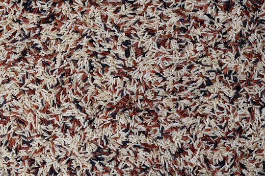 Colorful mix of assorted rice grains including brown, black, red and white varieties