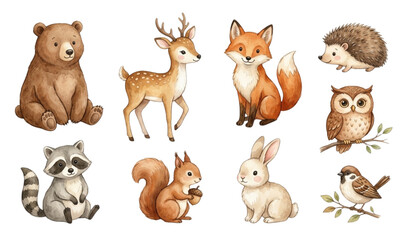 Obraz premium Watercolor forest animals collection vector illustration isolated on white background