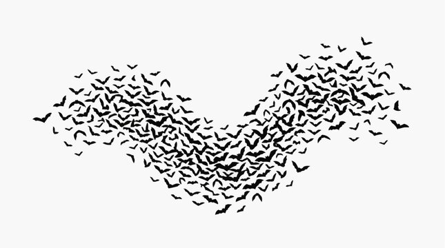 A large swarm of black bats flying in a wave formation against a white background, symbolizing Halloween and spooky themes
