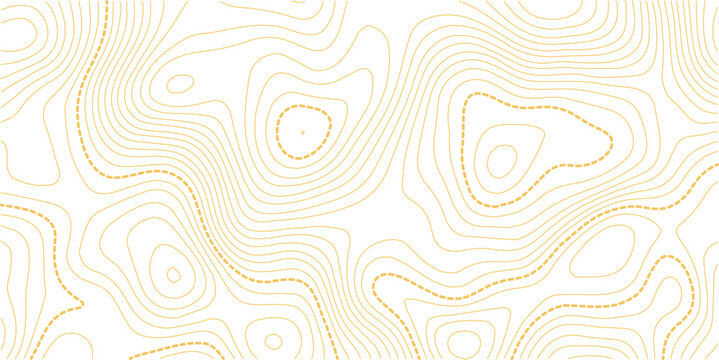 Weather Map Seamless Pattern. Abstract Topography Texture with Lines. Vector Backgrounds Set with Topographic Contour. Vector Illustration