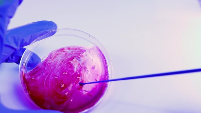Abstract scientist Scientific pink liquid fluid mutation in petri dish on white background. Perfect for medical research, biotechnology etc.,  4K video
