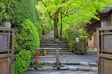 Fototapeta premium Jakko-in Temple, a venerable Buddhist temple in Ohararaikoincho, Sakyo Ward, Kyoto, Japan
