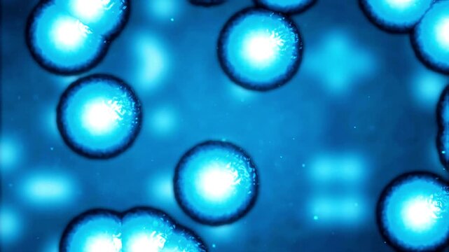 Moving or multiplying cells under microscope Cellular Mitosis Animation and Organic Microscopic Pathogen Growth Loop in 4K Ultra HD footage
