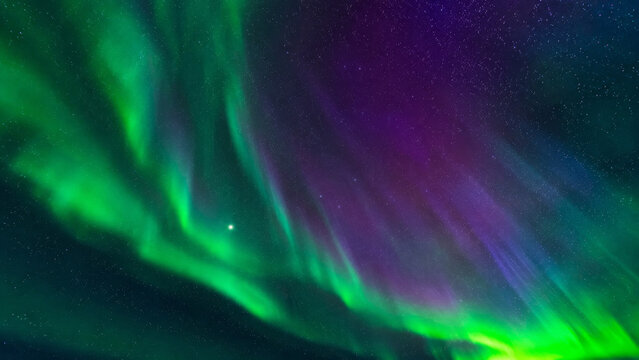 aurora in the night sky