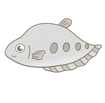 R:もっとメルヘンな水族館☆熱帯魚　ナイフフィッシュ③