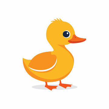 Cute cartoon yellow duckling illustration