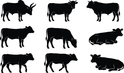 Cow and Bull Silhouette Vector Set Featuring Horned Zebu Cattle Grazing Walking and Lying Poses for Livestock Farm Agriculture and Branding Designs © rumi